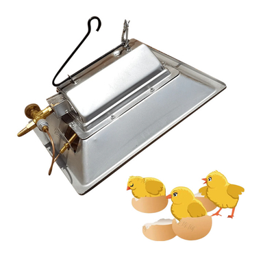 Couveuse à gaz pour poulet à faible consommation d'énergie