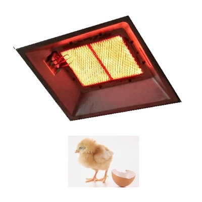 Réchauffeur en céramique d'intérieur de réchauffeur infrarouge fixé au mur de couveuse pour des oiseaux THD2608