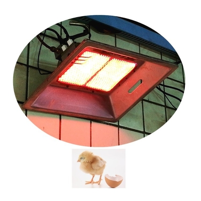Réchauffeur en céramique d'intérieur de réchauffeur infrarouge fixé au mur de couveuse pour des oiseaux THD2608
