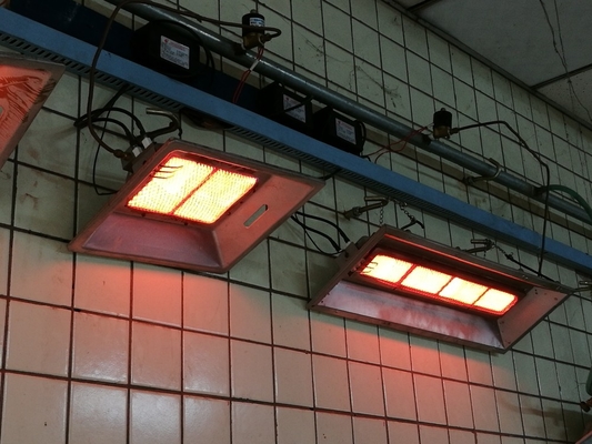 Réchauffeurs de couveuse de poulet de volaille de GPL de gaz naturel Couveuses de poulailler en aluminium