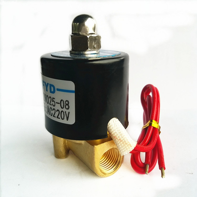 Électrode d'allumage d'électrovanne de brûleur d'allumeur de 2W hydraulique pour le réchauffeur de gaz