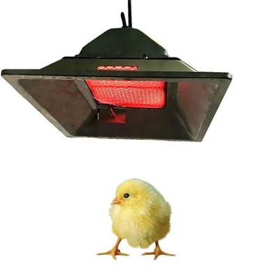 4 modèles de chauffage au gaz de couveuse de poulet LPG NG couveuse de gaz de biogaz dans la volaille