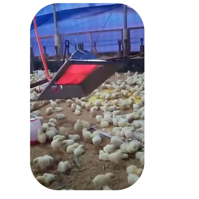 Modèle 4 de réchauffeur de couveuse de volaille de ferme de poulet pour la sécurité de hangar de poussin de porc