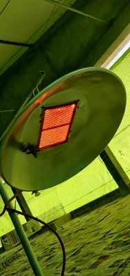 Couveuse infrarouge Heater For Poultry Farm Chicks de gaz de rond du marché de l'Afrique