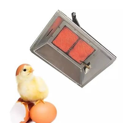 Couveuse de gaz de ferme avicole de PLC THD2606 pour couvrir les poussins 1000 de faisan 320*270*130mm