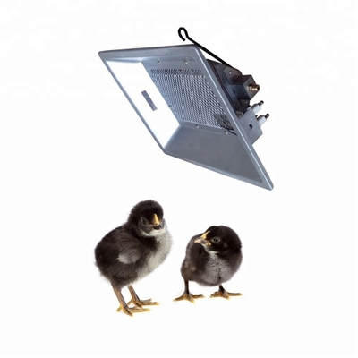 Type accrochant PA infrarouge de la ferme 3000 de Heater For Chicken And Pig de couveuse de biogaz