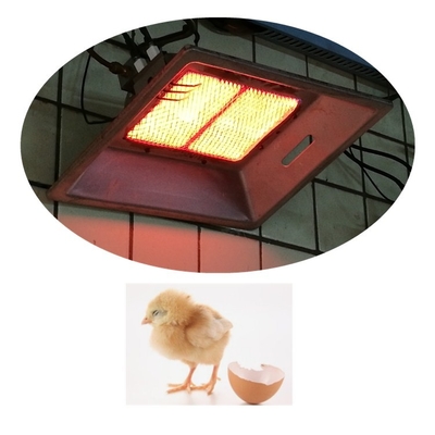Réchauffeurs de couveuse de poulet de volaille de GPL de gaz naturel Couveuses de poulailler en aluminium