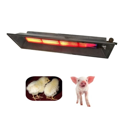 Lampes à chaleur à vapeur de GPL pour volailles 2,8 kg pour une distribution efficace de la chaleur 675*235*95 mm