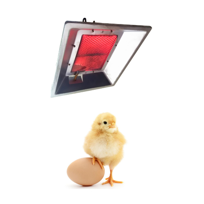 Lampe de chaleur de couveuse de gaz de poulet Heater For Chicks infrarouge THD2606