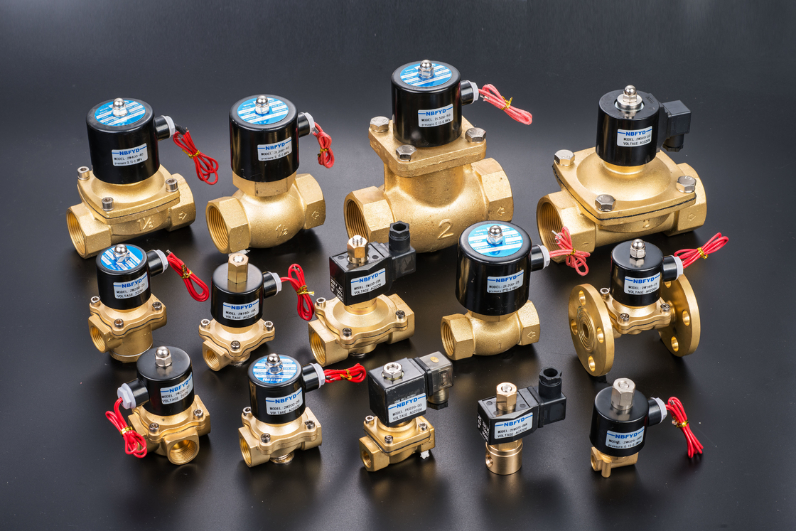 Électrovanne en laiton électrique hydraulique 12V 24V 110V 220V AC DC eau bobine de cuivre