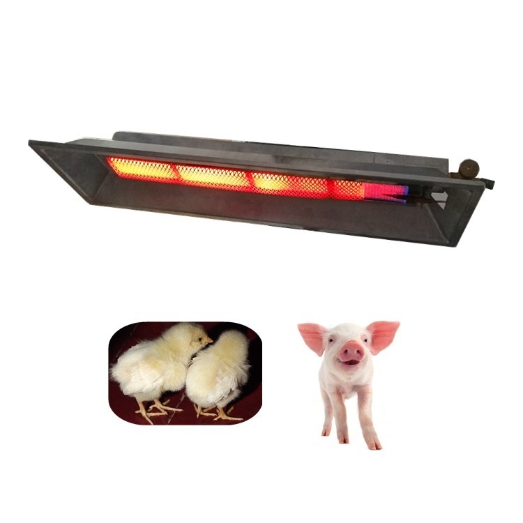 Lampes à chaleur à vapeur de GPL pour volailles 2,8 kg pour une distribution efficace de la chaleur 675*235*95 mm